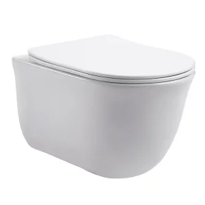 Унитаз подвесной Aquatek Классик с крышкой сиденье Белый AQ1111-00